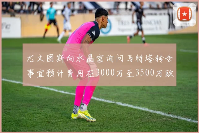 尤文图斯向水晶宫询问马特塔转会事宜预计费用在3000万至3500万欧元之间