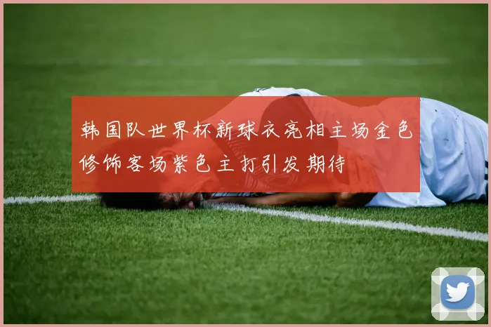 韩国队世界杯新球衣亮相主场金色修饰客场紫色主打引发期待