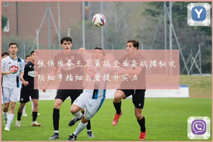 张伟丽拳王卫冕战全面备战揭秘攻防细节精细打磨提升实力
